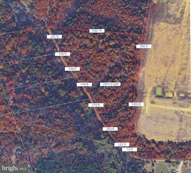 17.33 AC Shale Pit Dr, Falling Waters, WV 25419 - photo 3