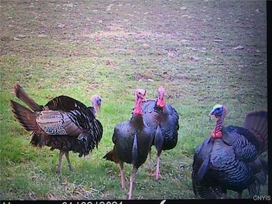 213 Button Rd, West Edmeston, NY 13485 - photo 5