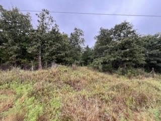 31 Amber Ridge, Shawnee, OK 74801 - photo 6