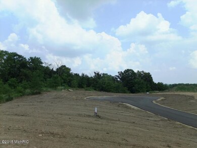 0 Summit Pointe unit 1 15054469, Wayland, MI 49348 - photo 4