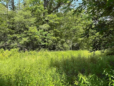 00 Simonsville Rd, Andover, VT 05143 - photo 5