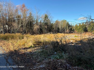 12 Laurel View Ln, Coolbaugh Township, PA 18466 - photo 5