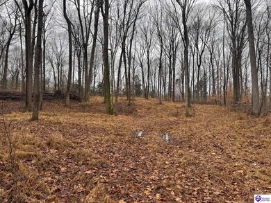 Lot 1 Vinson Rd, Brandenburg, KY 40108 - photo 7
