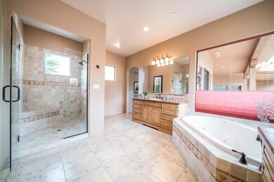Master Shower