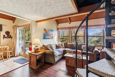 30 Yogi Ct, Davis, WV 26260 - photo 3