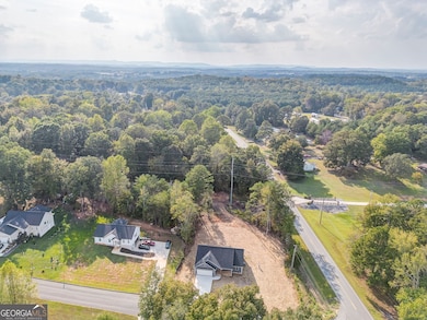 22 Earls Way, Chatsworth, GA 30705 - photo 6