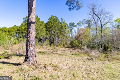 0 Lost Rd, Arabi, GA 31712 - photo 6