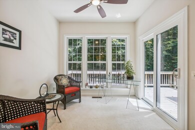 5453 Summer Leaf Ln, Alexandria, VA 22312 - photo 6