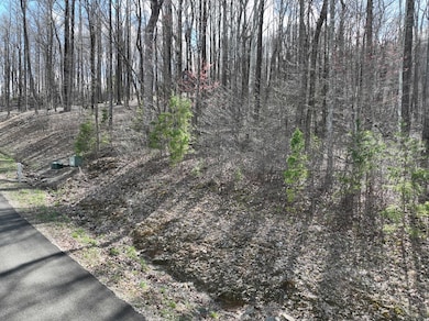 270R Stone Cliff Dr, Ellijay, GA 30536 - photo 2