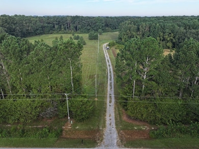 Shine Rd unit LotWP001, Snow Hill, NC 28580 - photo 4