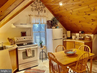 17419 Raven Rocks Rd, Bluemont, VA 20135 - photo 4