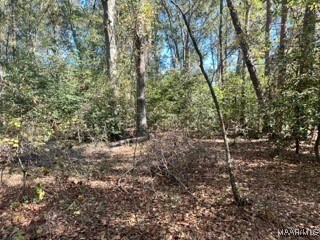 0 County Road 2202, Goshen, AL 36035 - photo 4