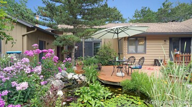 Pond with water feature