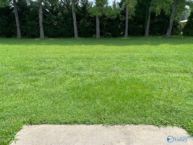 115 Ryland Ridge Cir unit 9, Huntsville, AL 35811 - photo 7