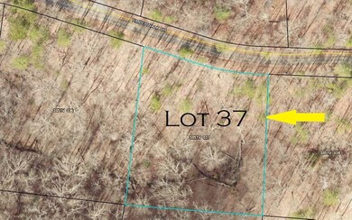 0 Lot 37 Timberwalk Dr unit 307814, Ellijay, GA 30540 - photo 4