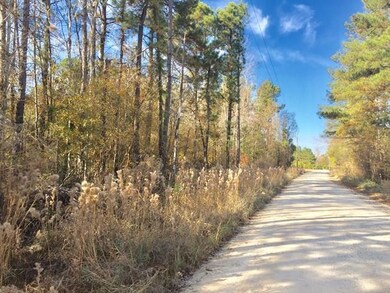Holladay Road Frontage