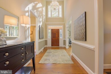 6686 Avignon Blvd, Falls Church, VA 22043 - photo 6