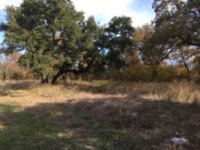 100 Buckner Rd, Lipan, TX 76462 - photo 2