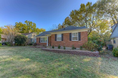 3645 Autumn Ave, Memphis, TN 38122 - photo 2