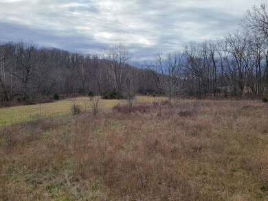 0 Minnow Branch Rd, Buffalo Township, MO 65078 - photo 4