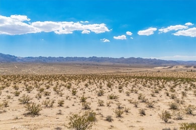 67800 Raymond Dr, Twentynine Palms, CA 92277 - photo 4