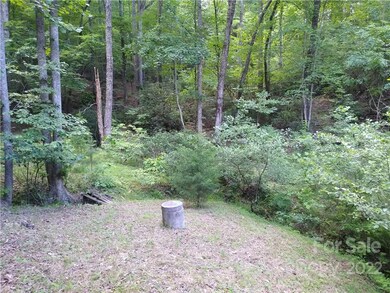 130 Starling Blvd unit 250, Lake Lure, NC 28746 - photo 3