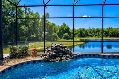 Pond Conservation View