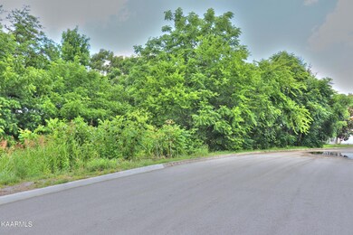 Lot 3-R Trinity View Circle