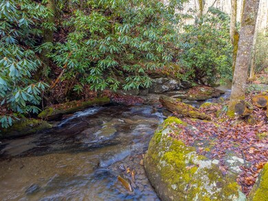 2001 Little Ellijay Rd, Franklin, NC 28734 - photo 6