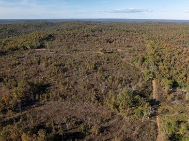 000 Schales Rd, Poughkeepsie, AR 72569 - photo 5