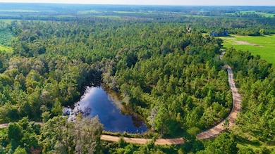 0 Rhonda Coleman Rd, Hazlehurst, GA 31539 - photo 2