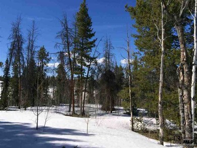 33230 Filly Trail, Oak Creek, CO 80467 - photo 7