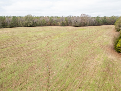 0 Jack Forrester Rd, Mantee, MS 39751 - photo 2