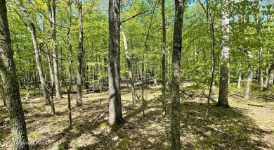 Lot 254 Deer Run E, Lehman Township, PA 18328 - photo 3