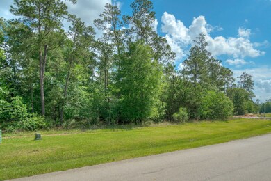 3706 Birnham Bend Cir, Spring, TX 77386 - photo 2