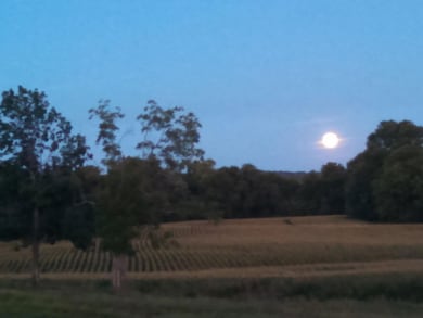 1865 Highway Kk, Bolivar, MO 65613 - photo 2