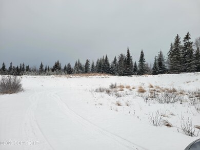 27180 Cloyds Rd, Happy Valley, AK 99556 - photo 7