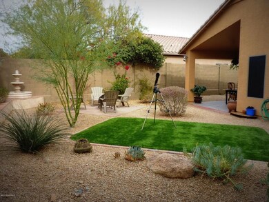 Back Yard d