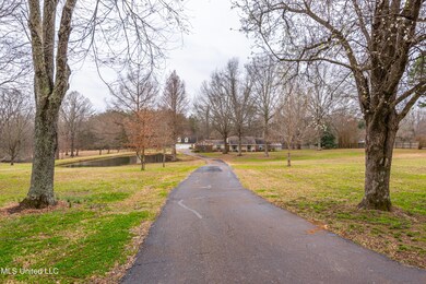 2171 Bolin Rd, Hernando, MS 38632 - photo 4