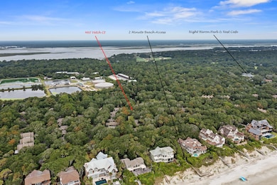 460 Vetch Ct, Johns Island, SC 29455 - photo 4