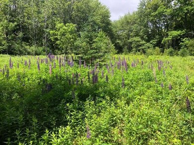 11C1 Old County Rd, Bristol, ME 04558 - photo 5