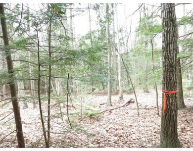 17 Jennison Rd, Wendell, MA 01379 - photo 2