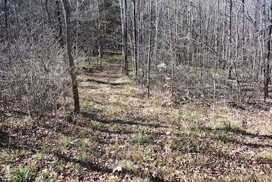 N13315 Harper Rd, Athelstane, WI 54104 - photo 4