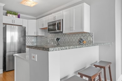 2 East Erie unit 2806, Chicago, IL 60611 - photo 4