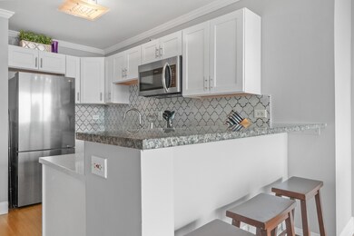 unlisted-address, Chicago, IL 60611 - photo 4