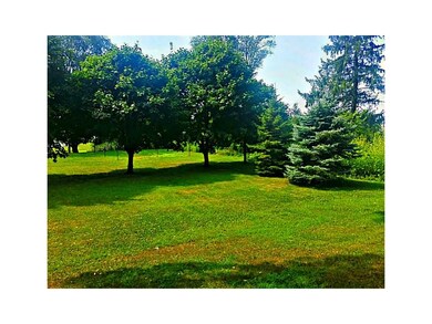 Yard. Side yard