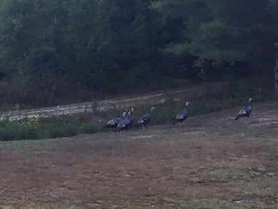 858 River Rd unit Lot 5, Plymouth, NH 03264 - photo 7