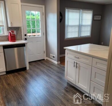 Kitchen door leading to the backyard.