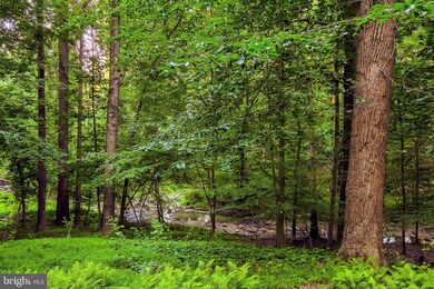 2802 Grasty Woods Ln, Pikesville, MD 21208 - photo 7