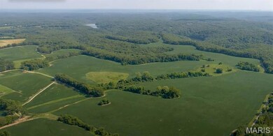 40 Meditation Way, Defiance, MO 63341 - photo 4